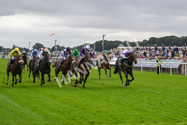 220824-Race 2-Diligently-6821 - Race 2 2.25pm Harry's Half Million By Goffs Premier Yearling Stakes