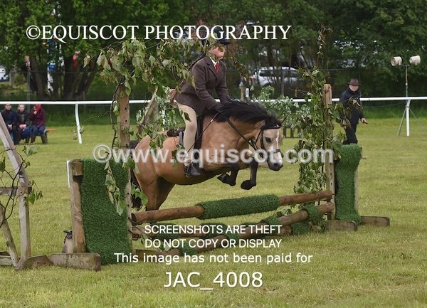 JAC_4008 - 40CM WORKING HUNTER