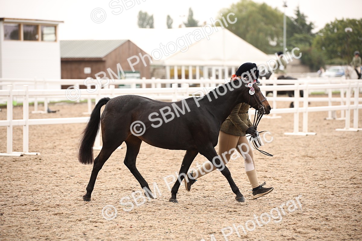 SBM_21445 - Class 706 - IH  Veteran
