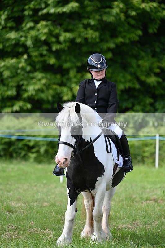 WJ7_0792 - Class 8 First Rally Pony