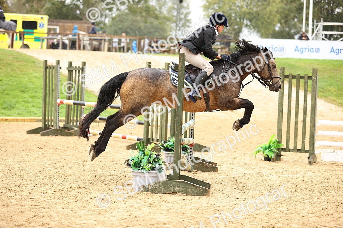 SBM_70017 - Supreme Championship 80cm 85cm