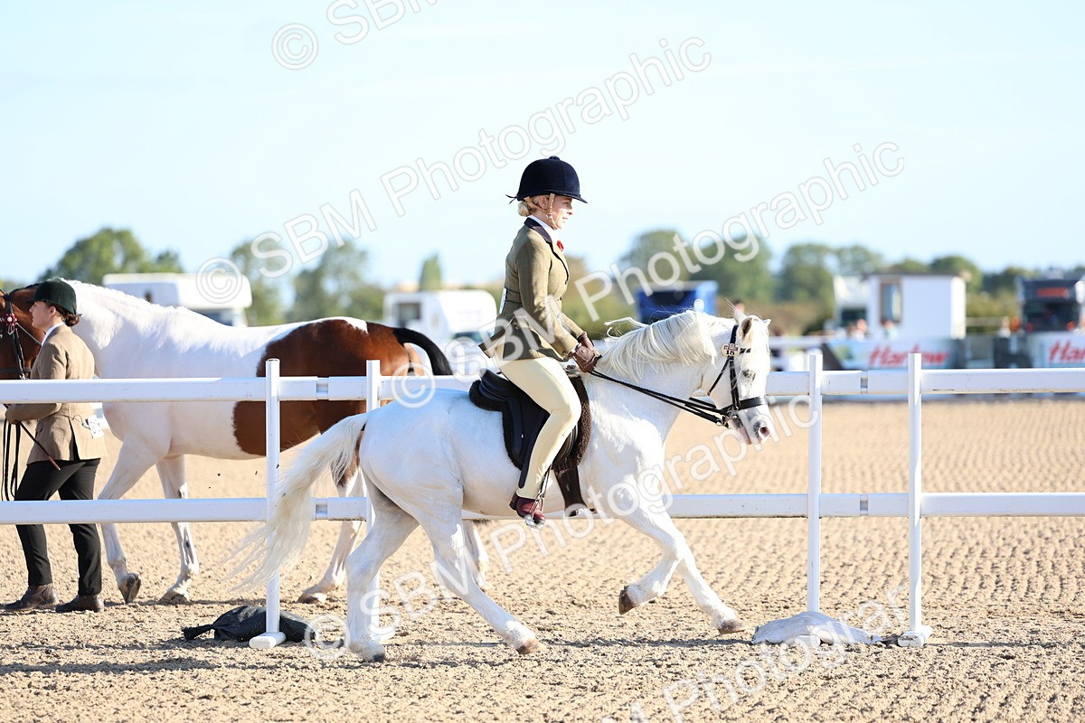 SBM_07798 - Class 301 - Ridden M&M - Small Breeds