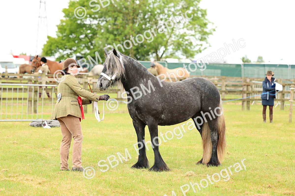 SBM_00610 - Class 58-67 - M&M Non Welsh Pony In hand