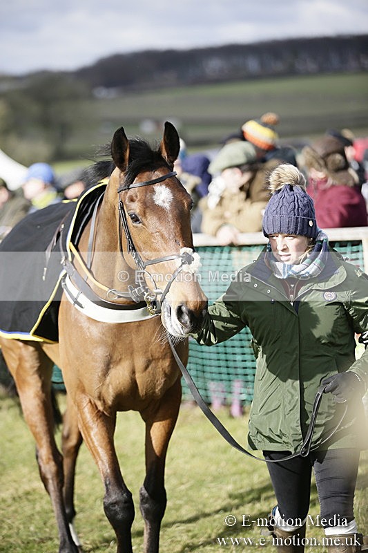PtP 040218 14 - Point-to-Point Milborne St Andrew 04/02/18