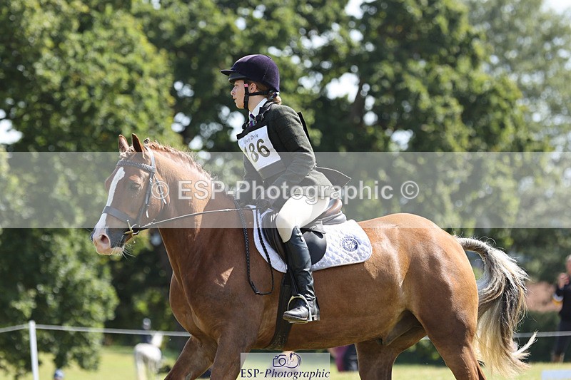 240824X-115051-26990 - D80 Section G and H 11.00 to 12.00