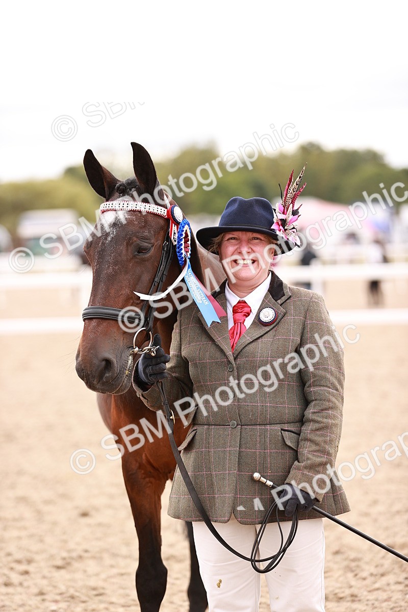 SBM_16369 - Class 413 - Best Condition - Adult