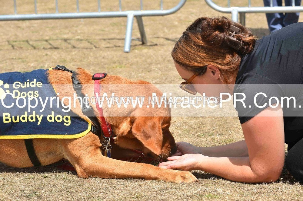 SH4_0235 - Dog show.