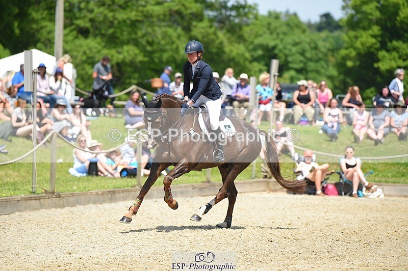 230528-120326-15507 - 376-DIRECT_BALLYTARSNA_DUCAREL-Jodie_Amos-SUNTrotUp+SJ