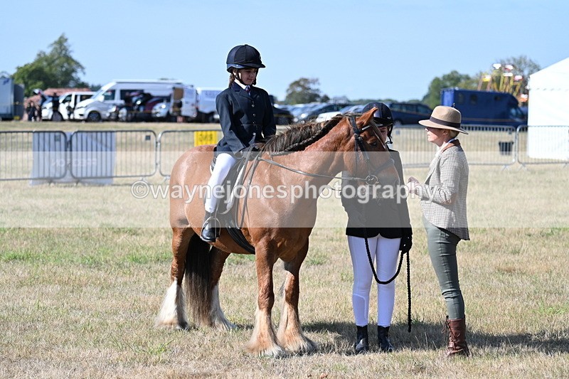 WJ7_2974 - Class 8 Ridden Tack & Turnout