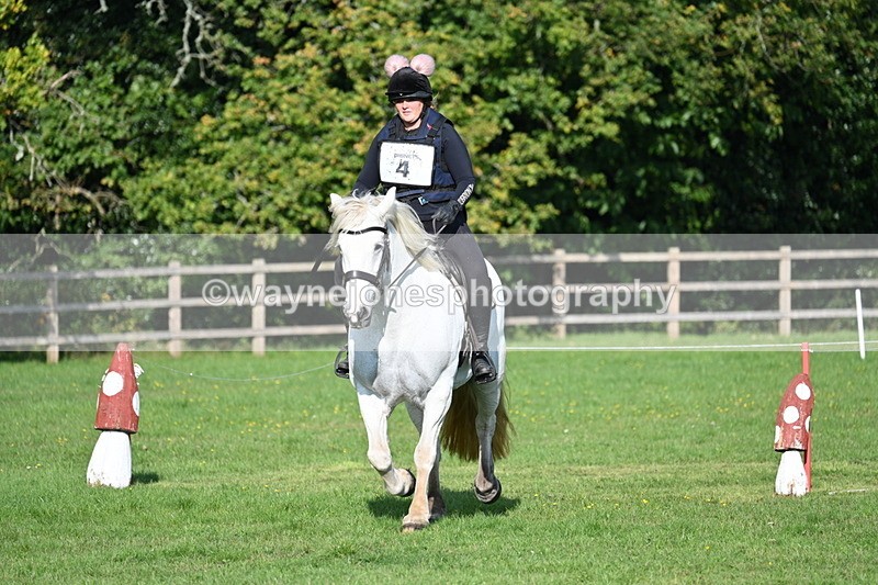 WJ7_3304 - 40cm Time 10:08 to 10:25