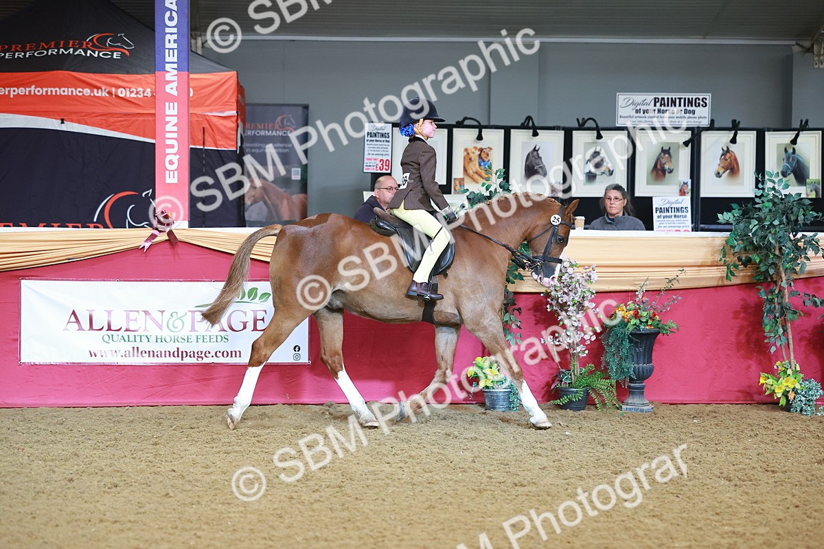 SBM_07654 - Class 101 - HOYS Veteran Qualifier - Ridden Diamond
