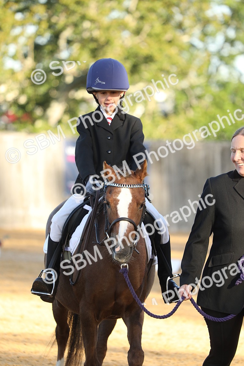 SBM_33652 - D26 - Starers - Lead Rein