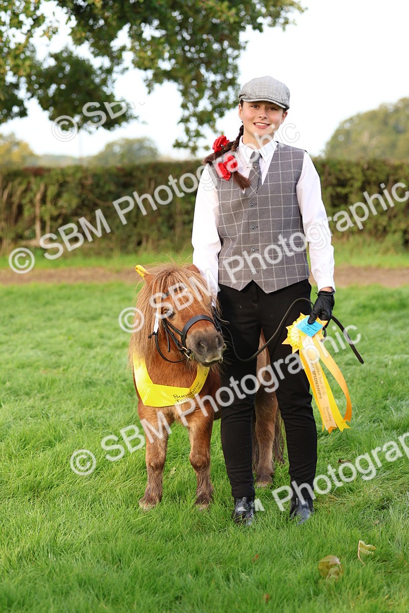 SBM_54905 - S39 - Starters In Hand Showing