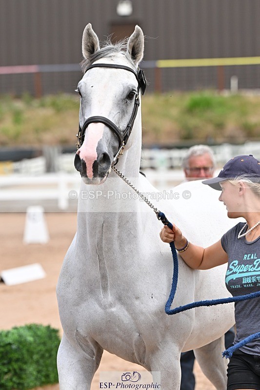 250716-142234-01055 - Trot Up 1.30 to 2.30