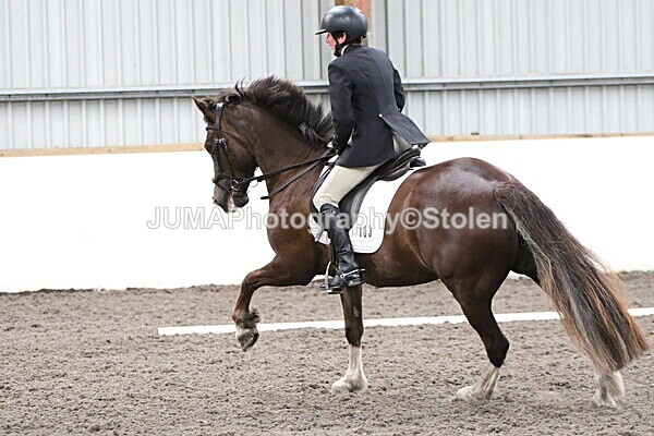 SIAL5045 - CAbin Dressage 5th july 2025