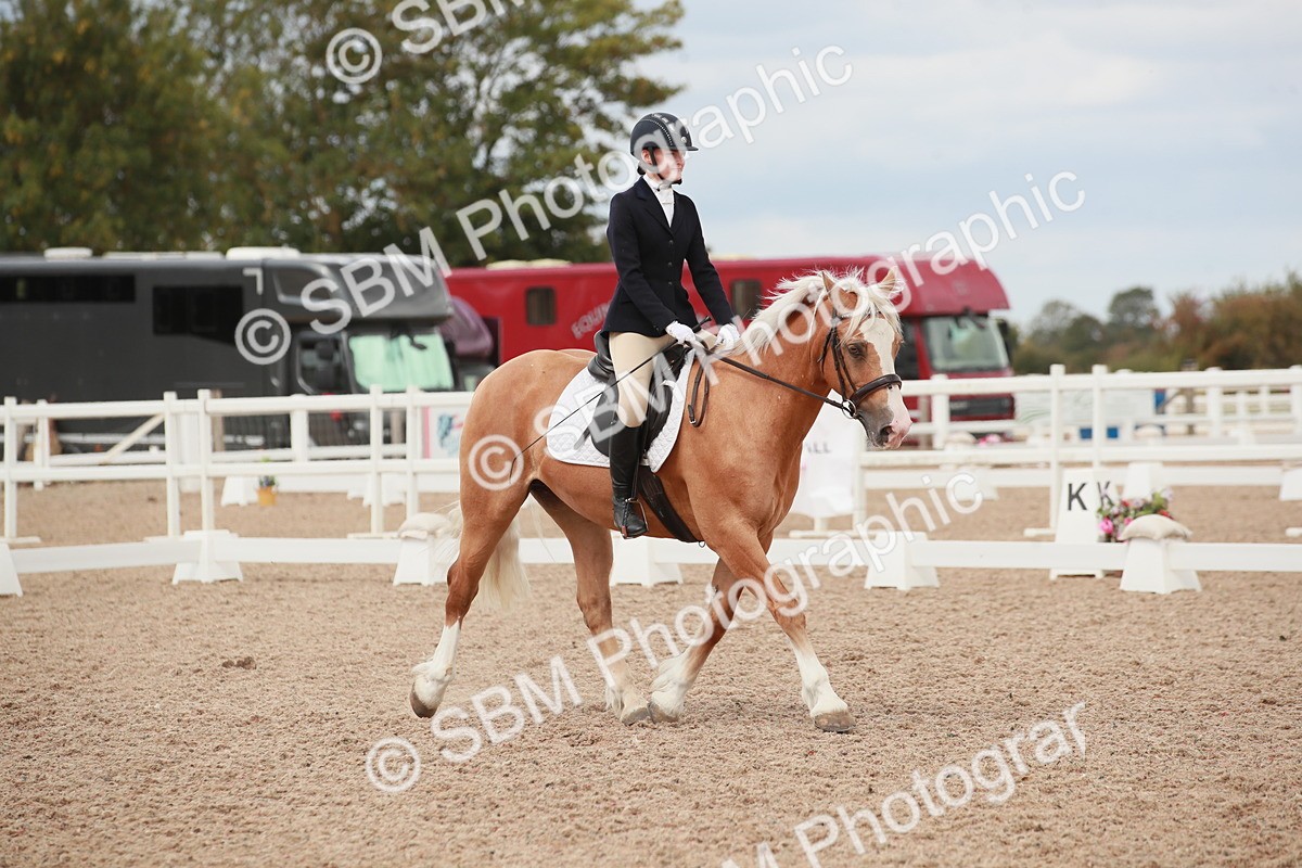 SBM_05904 - Class 32 - Novice 1