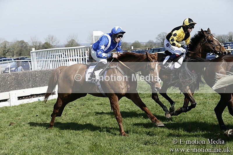 PtP 260317 124 - Mendip Farmers Point-to-Point Ston Easton 26/03/17