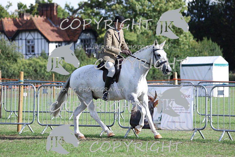 APP_4210 - Class 15a/b Pony club pony/Riding club horse