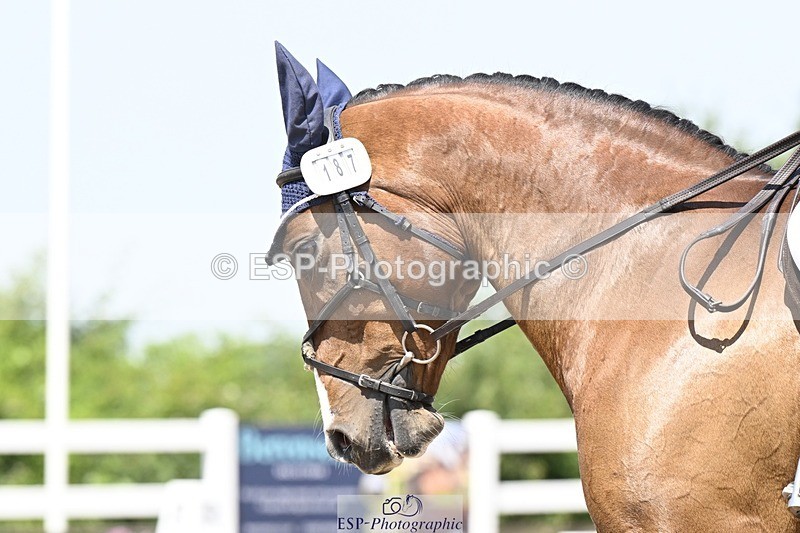 250621-124210-07999 - Cls 27 - Novice 6, 12.20 to End