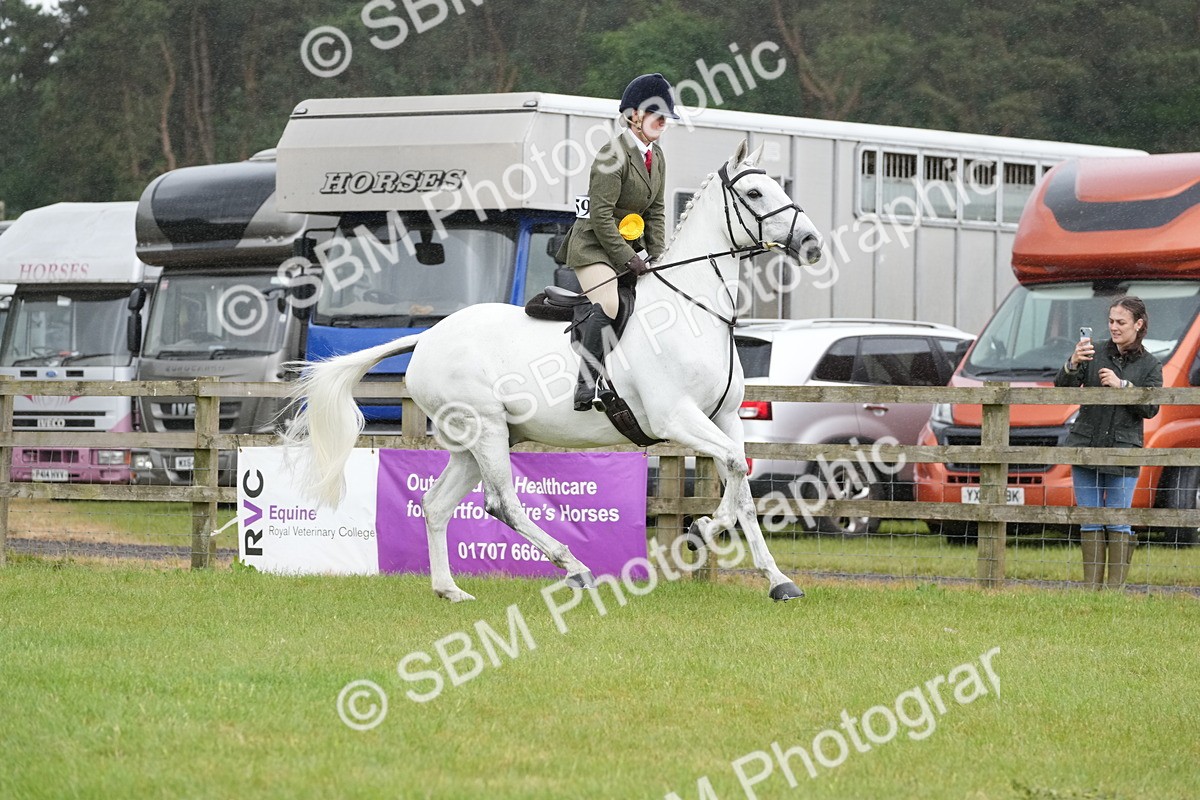 SBM_12825 - Class 97-98 - LIHS BSHA Rising Star Working Show Horse Hunter