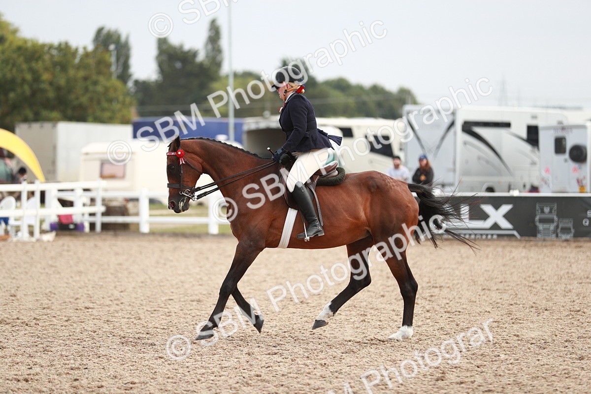 SBM_17599 - Class 215 Ridden Hack/ Riding Horse