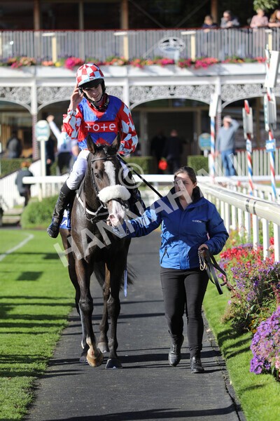 yr08102022r4-48 - Race 4 3.15pm The Coral Sprint Trophy