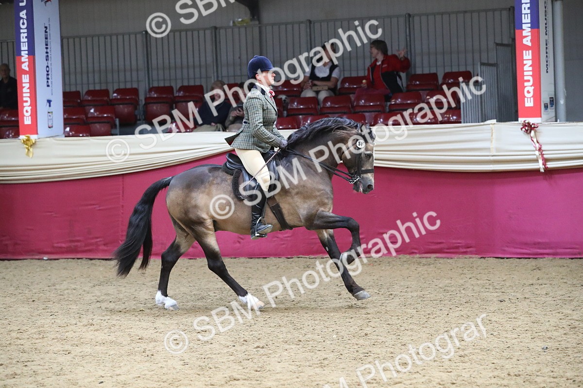 SBM_16347 - Class 502 M&M Ridden Supreme Final