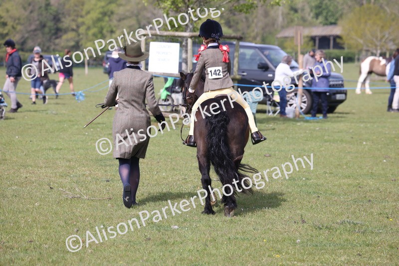 20260426-2461 - Class 31 - Leading Rein