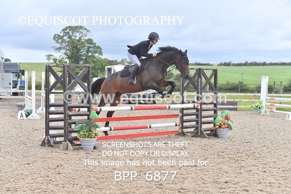 BPP_6877 - CLASS 2 Senior British Novice/ 90cm Open