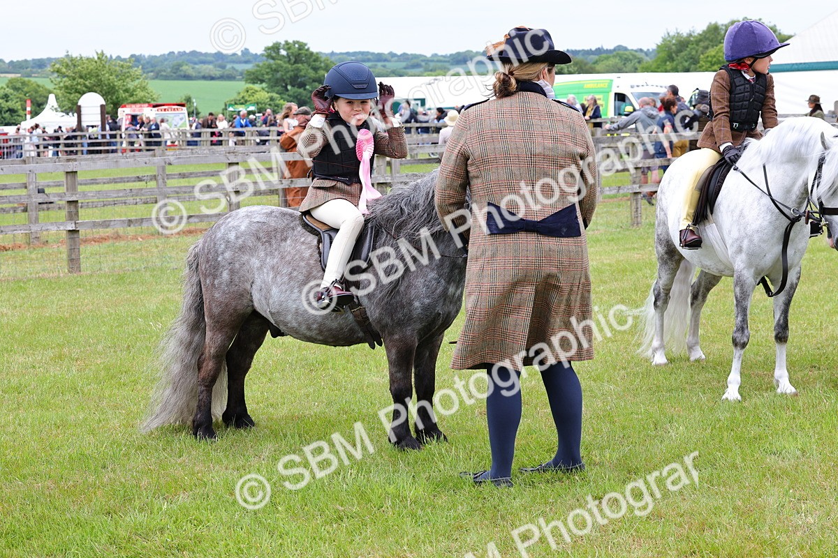 SBM_08384 - Class 42-43 - LIHS BSPS Heritage Working Sports Pony