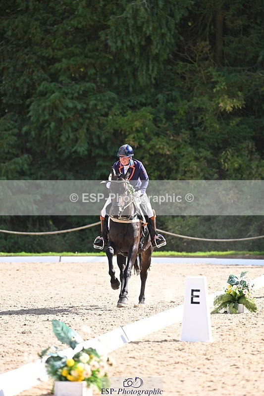 240809-162550-02378 - Preliminary Gold