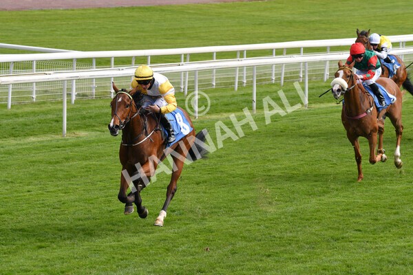 yr12052021r5-13 - Race 5 3.40pm Sky Bet Stakes