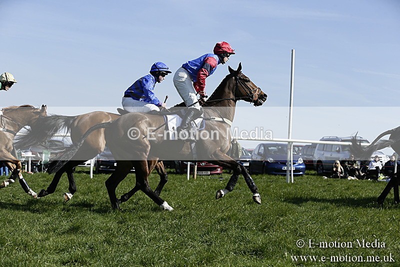 PtP 260317 189 - Mendip Farmers Point-to-Point Ston Easton 26/03/17