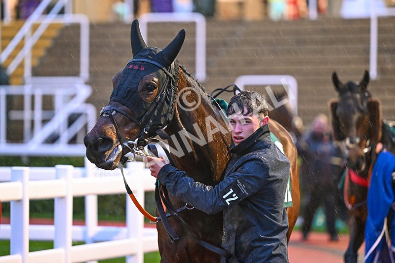 141125-Race 6-Lucky Bere-1377 - Race 6