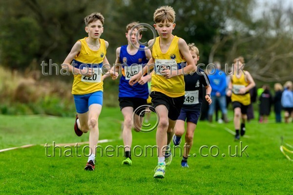 WestRLY25-923780 - Young Male Set Two