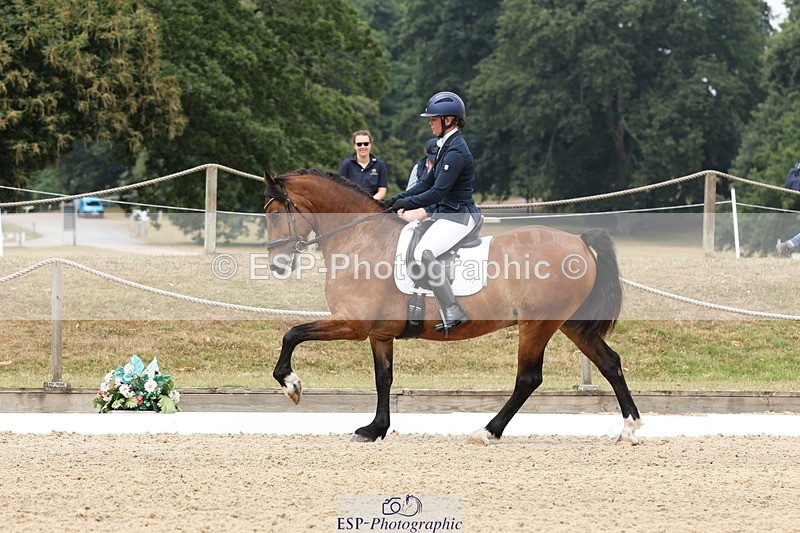 250718A-114637-00957 - 117-Alexandra.Northwood-Scurlagecastle.Gino