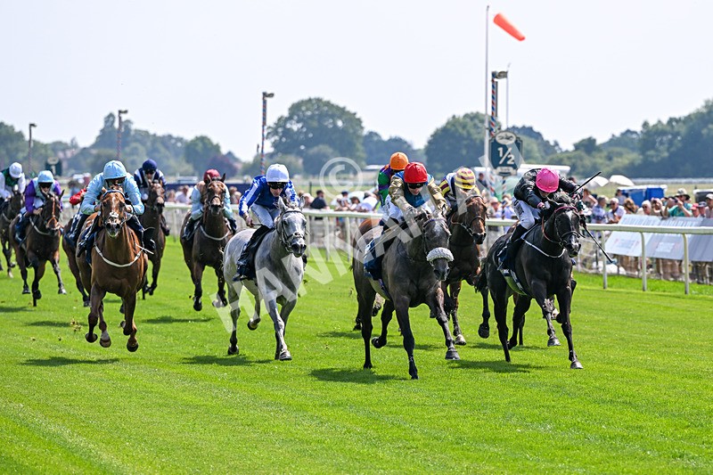 100726-Race 2-Flora Of Bermuda-9638 - Race 2 14.45pm William Hill Summer Stakes