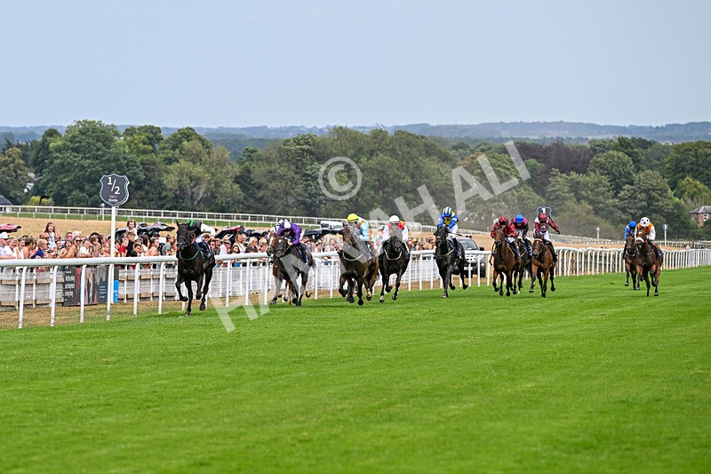 280726-Race 3-Black Velvet Boy-0618 - Race 3 14.45pm EBF Restricted Maiden Stakes