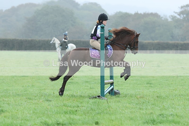 JPP_4950 - Class 1: 65cm : Showjumping