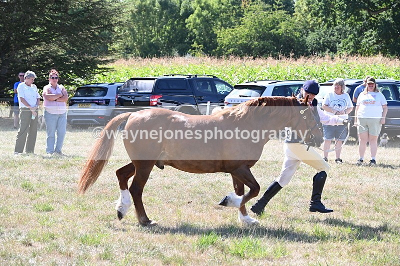 WJ6_4855 - Class 17 Mountain & Moorland