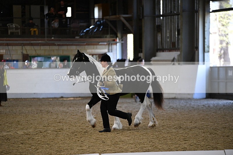 WJ5_3760 - Class 5 In Hand Veterans