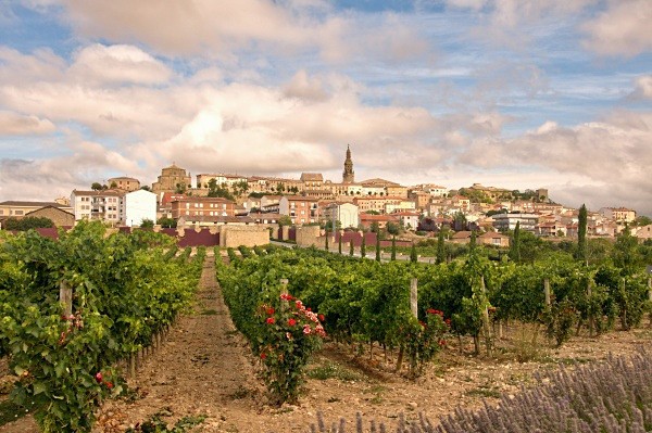 Briones - La Rioja - Picos de Europa, Spain