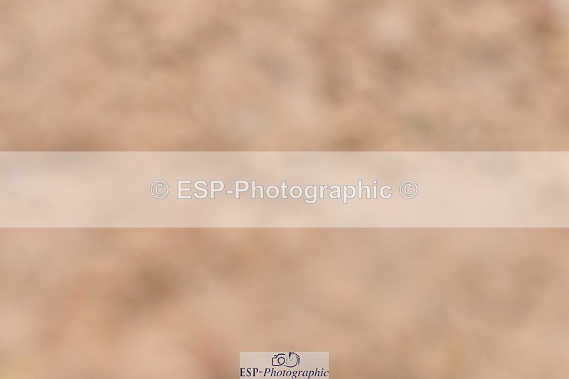 240121A-100802-00367 - Cls 2 Prelim 17A