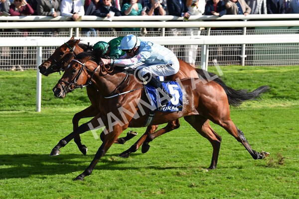 yr08102022r2-38 - Race 2 2.05pm The Coral Rockingham Stakes