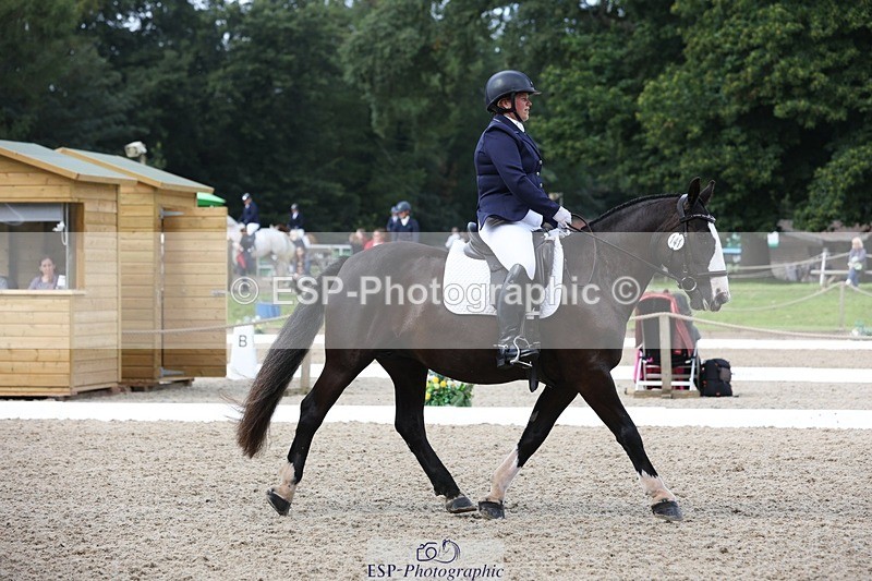 230812-111717-03719 - Cls 5 Novice Bronze 11.15 to 12.50 break