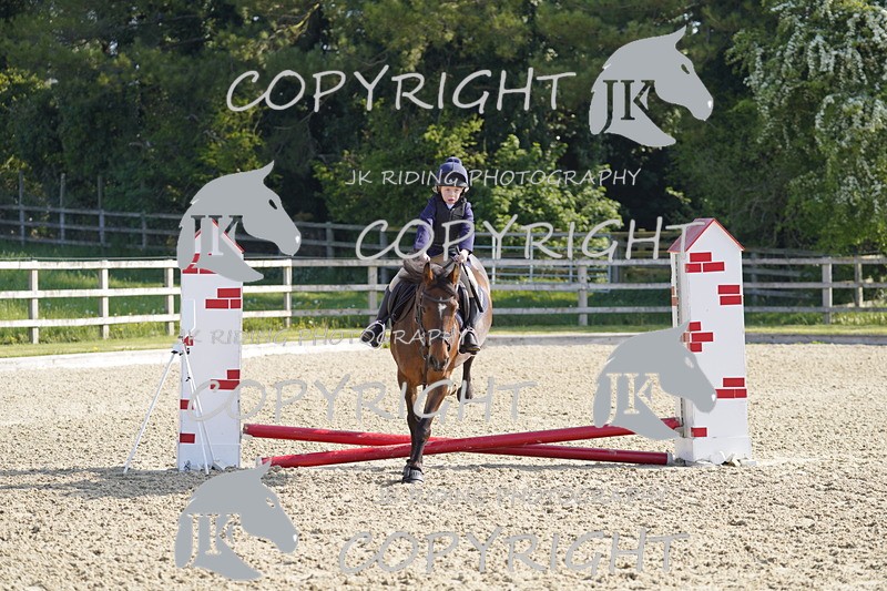 _DSC6477 - USJL Oakingham Stud 27.04.25