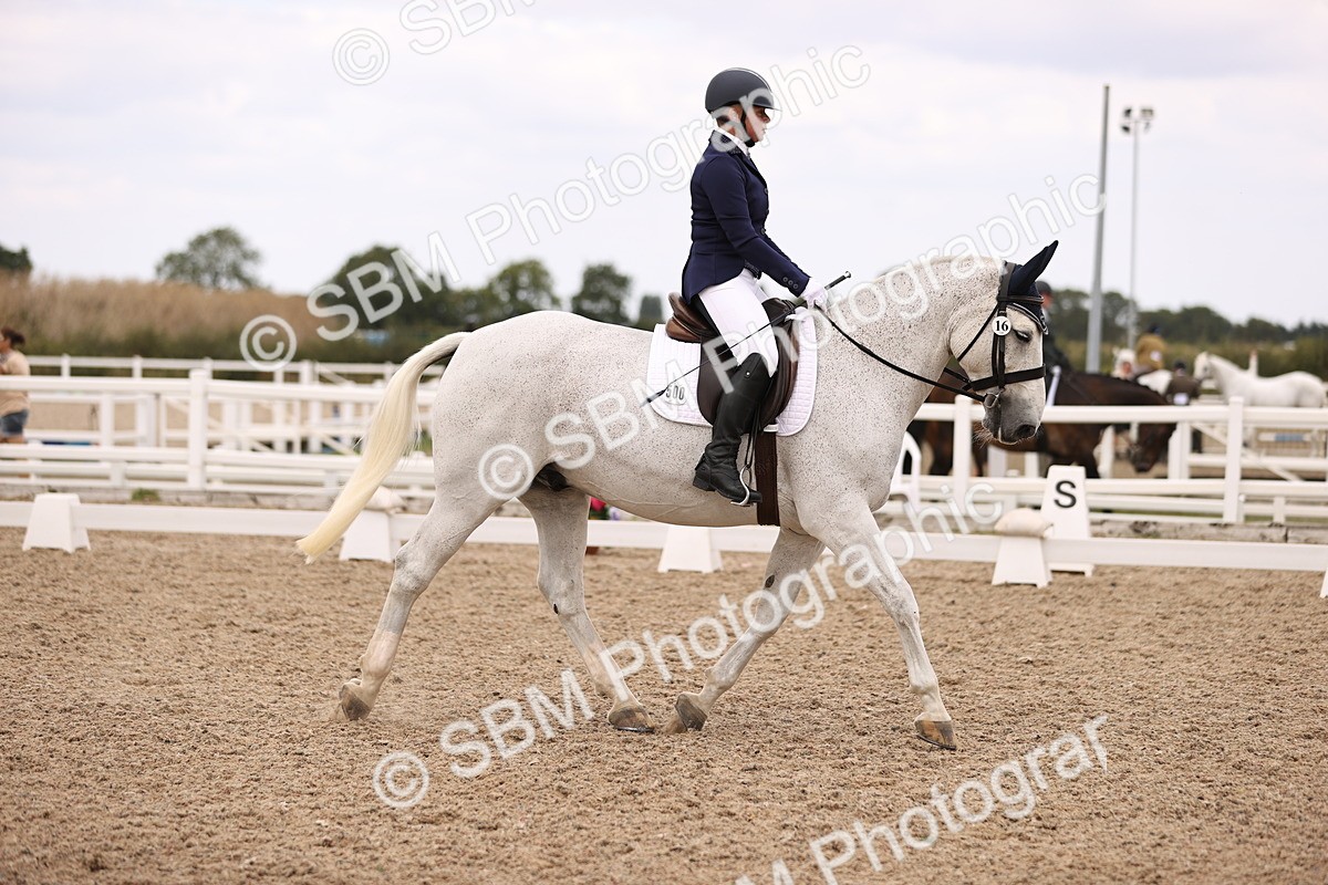 SBM_05915 - Class 37 Novice 5