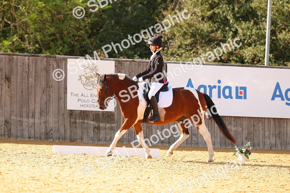 SBM_48421 - D6 - Small Tour Championship - Intro C