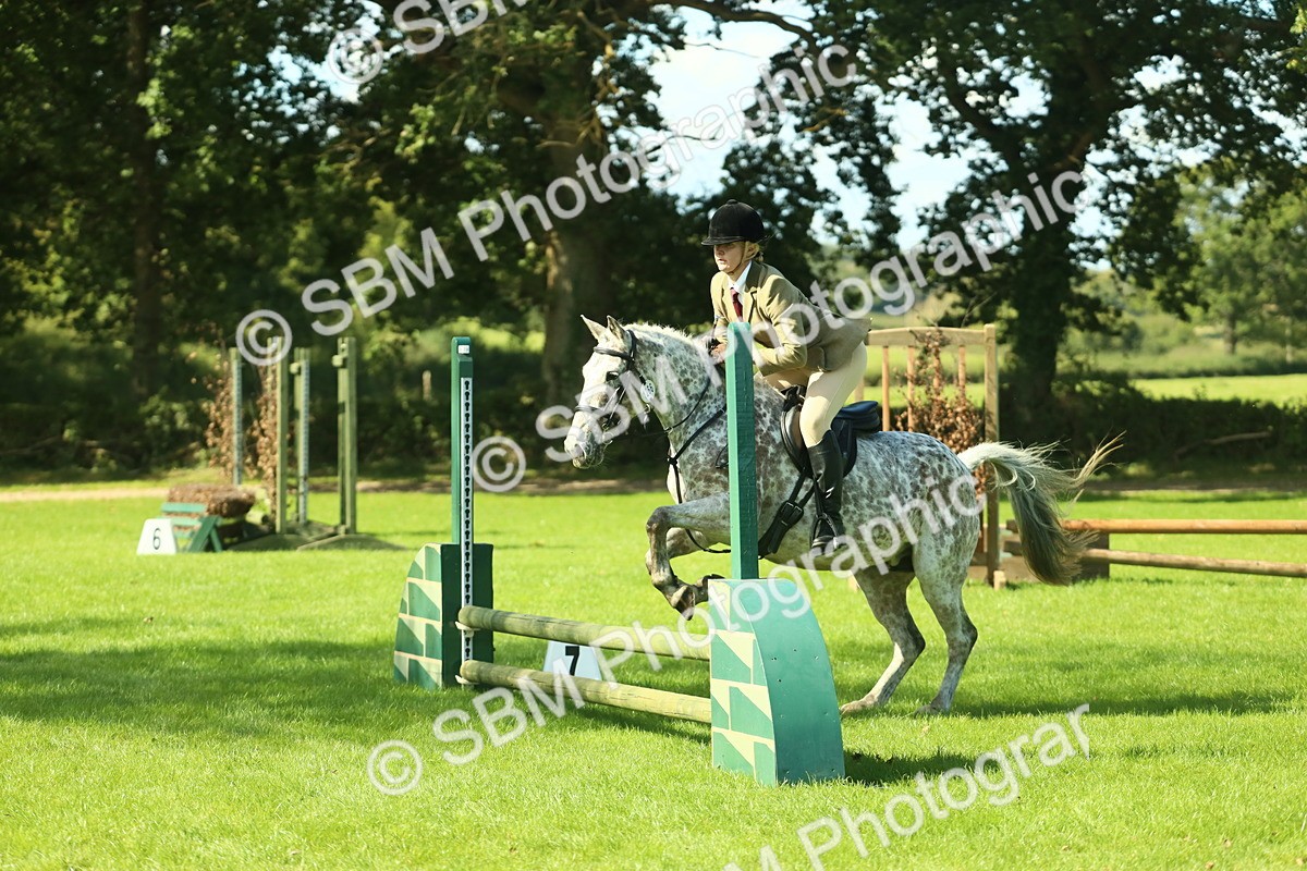 SBM_39254 - S29 - Novice & Newcomers Working Hunter Pony