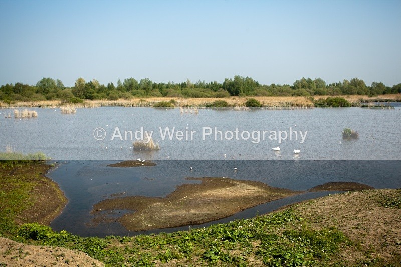 20110422-IMG_1591 - Woolston Eyes Nature Reserve